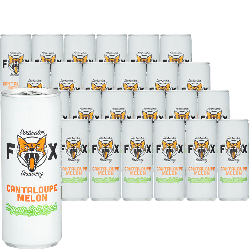 Eko Läsk Cantaloupe Melon 24-pack - 67% rabatt